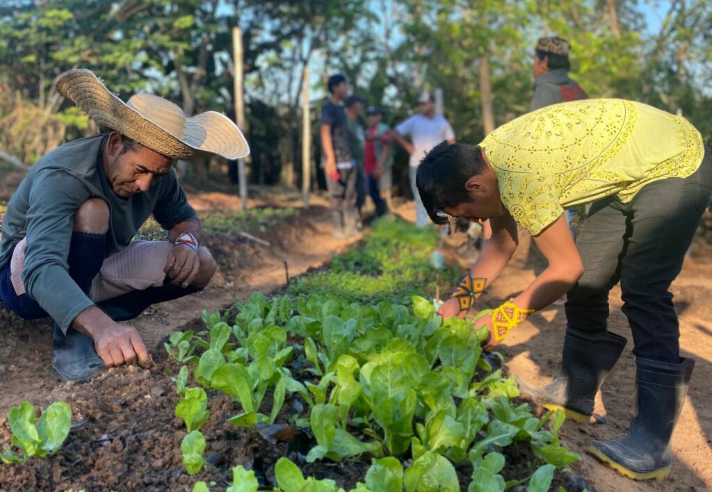 Comissão Pró-Índio Acre promove curso de formação de Agentes Agroflorestais Indígenas