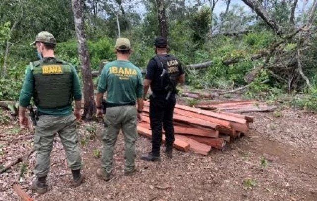 Operação contra desmatamento termina com um homem baleado