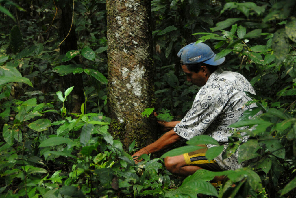 Programa REM Acre amplia acesso a projetos de inclusão produtiva sustentável através do piloto “Boas ideias geram impacto”