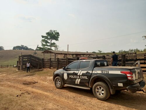Polícia Civil recupera gado furtado no Acre e identifica criminosos
