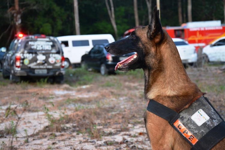 Casal é preso suspeito de acobertar e estuprar menina de 10 anos no interior do Amazonas