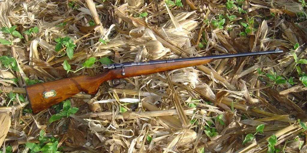 Adolescente leva tiro acidental de rifle no interior do Acre