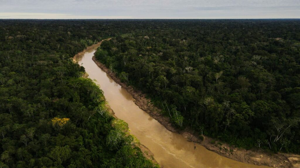 Acre comemora redução significativa de alertas de desmatamento e focos de queimadas
