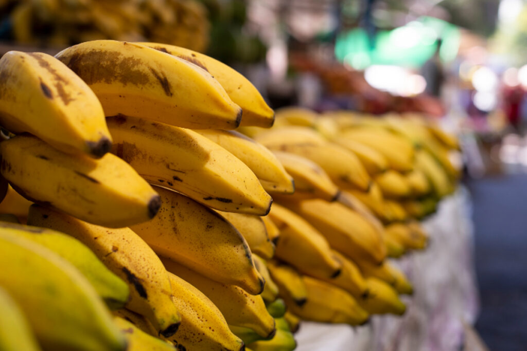 Safras de melancia e banana abastecem o mercado de Cruzeiro do Sul