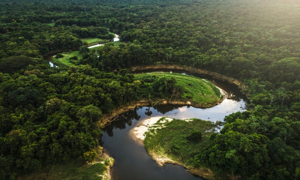 Após reativação, Acre é o primeiro estado a apresentar projeto ao Fundo Amazônia