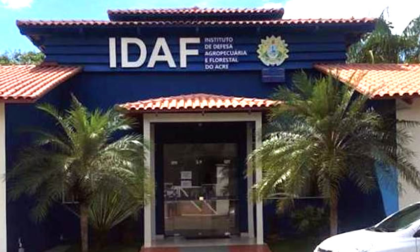 Idaf abre 40 vagas para habilitar responsáveis técnicos em emissão de certificados