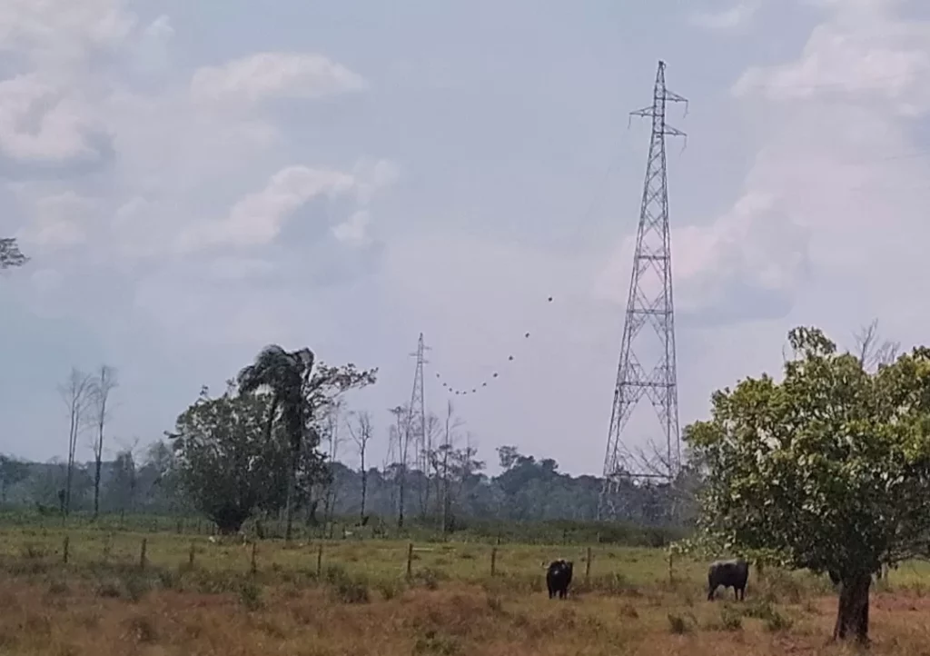 Linhão está chegando em Cruzeiro do Sul e energia poluente dará lugar à renovável