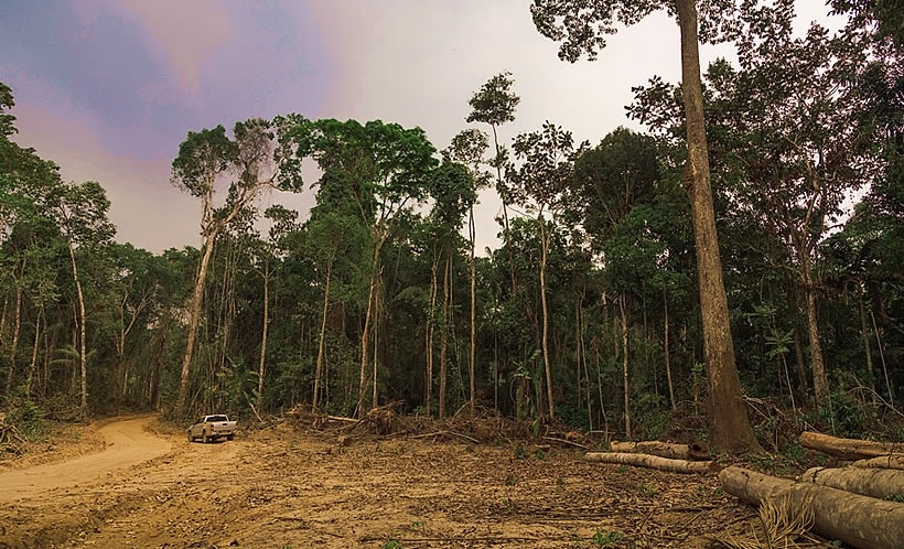 Sem ramais e energia elétrica, Resex está abandonada há quase 10 anos, diz morador