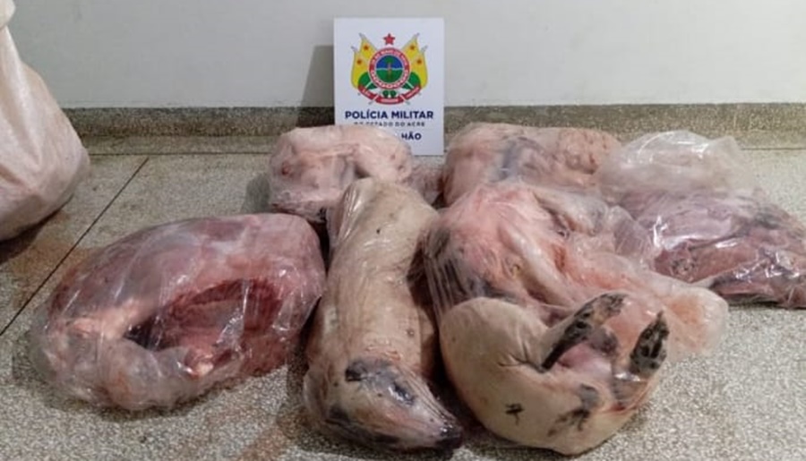 Polícia Militar realiza prisão de indivíduo por transporte ilegal de carne de caça na BR-307
