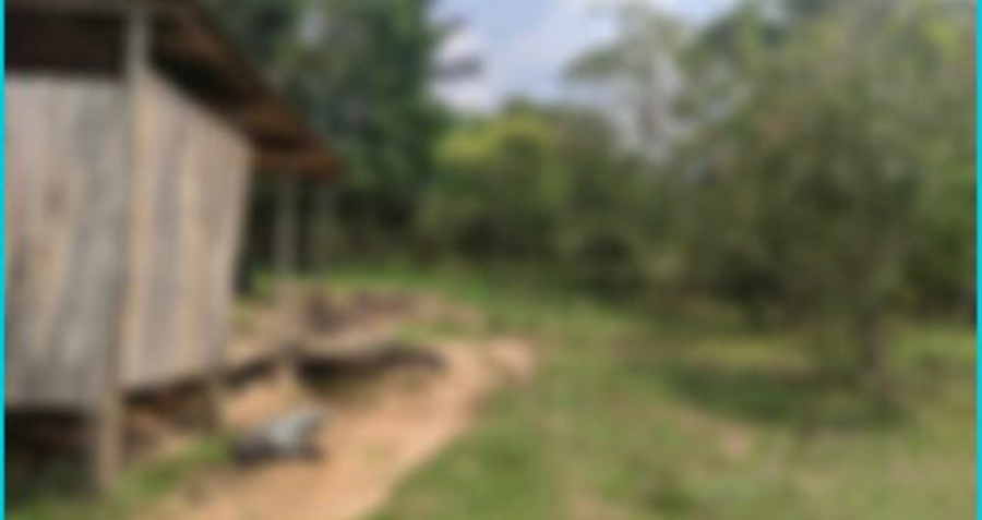 Corpo em estado de decomposição é encontrado no interior do Acre