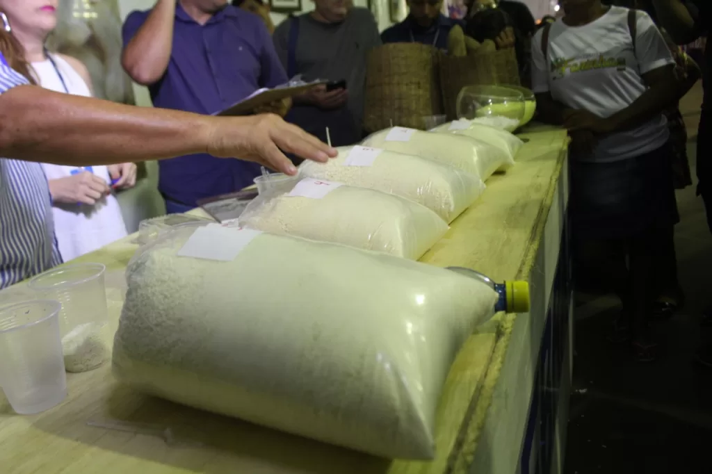 Praga da Mandarová ameaça a economia e a qualidade da farinha em Cruzeiro do Sul