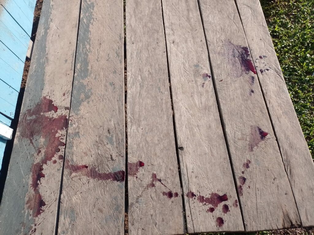 Homem mata cachorro a facadas e ameaça pessoas na zona rural de Cruzeiro do Sul