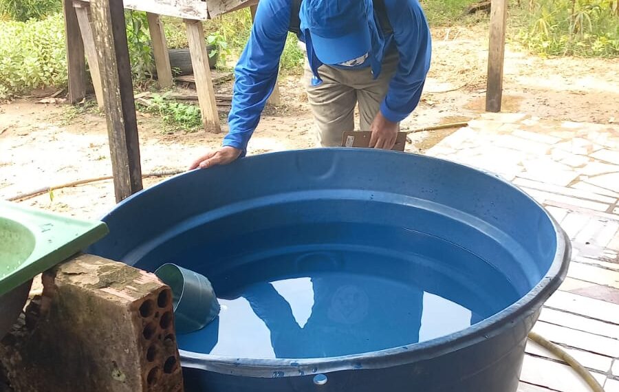 Com chegada das chuvas, população deve redobrar cuidados para evitar mosquito da dengue