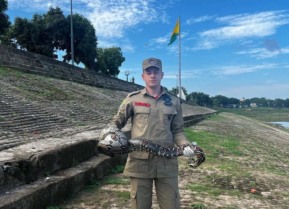 Jiboia de 2 metros encontrada na escadaria da Gameleira é resgatada em Rio Branco
