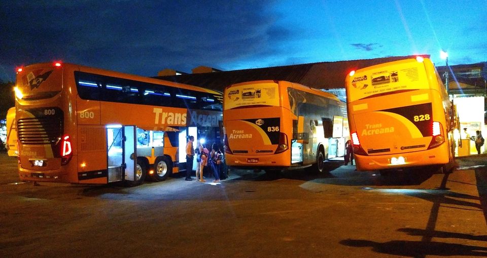 Passageira diz ter sido destratada ao embarcar em ônibus da Trans Acreana com cachorros de estimação; empresa nega