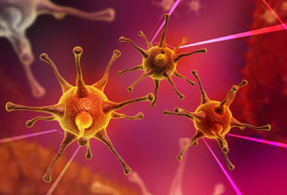 Acre pode estar vivendo epidemia de febre oropouche, indica estudo preliminar da Fiocruz