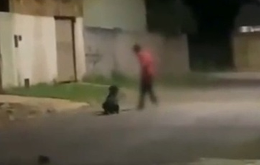 VÍDEO: cachorro é resgatado após ser arrastado e chicoteado com corrente