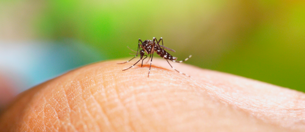 Brasil tem mais de um milhão de casos de dengue este ano