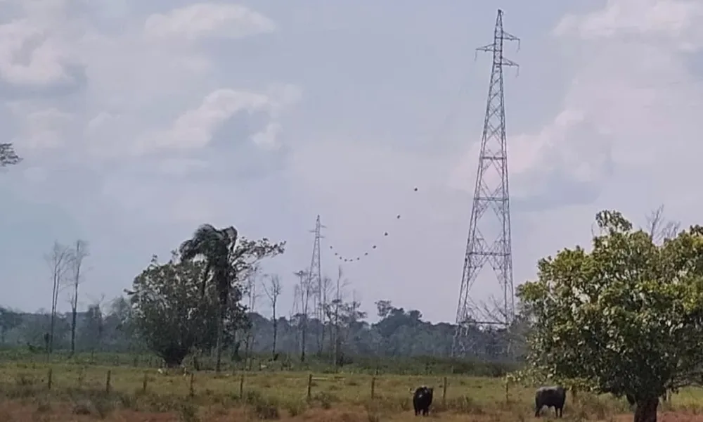 Transmissora Acre diz que passou o linhão na Terra Indígena a pedido dos próprios Katukinas