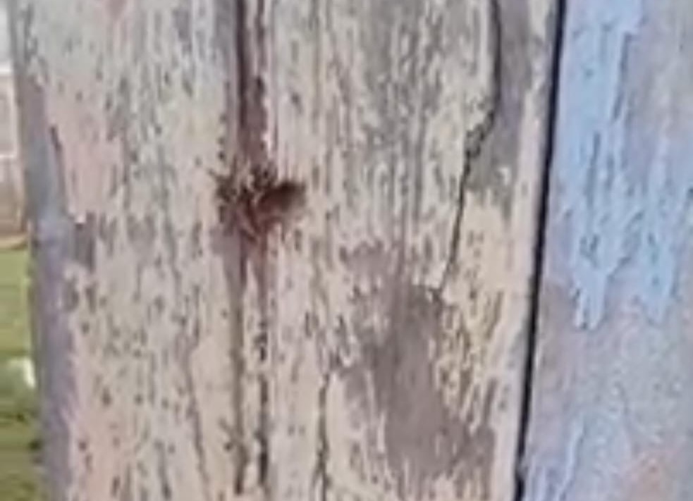 Casa de morador é crivada de tiros durante tiroteio no Segundo Distrito de Rio Branco