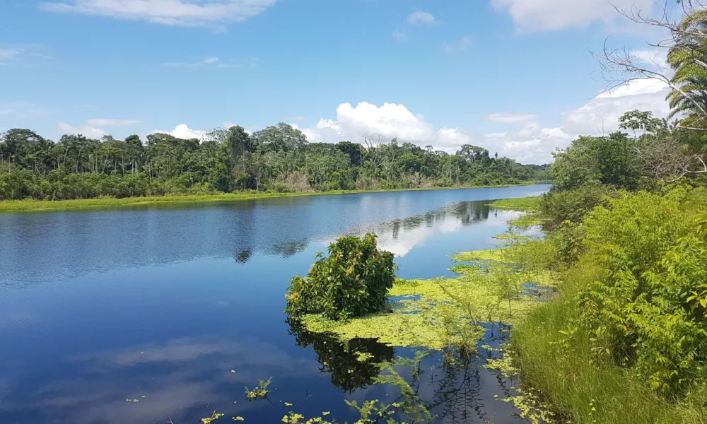 Criança de um ano morre por afogamento em Cruzeiro do Sul
