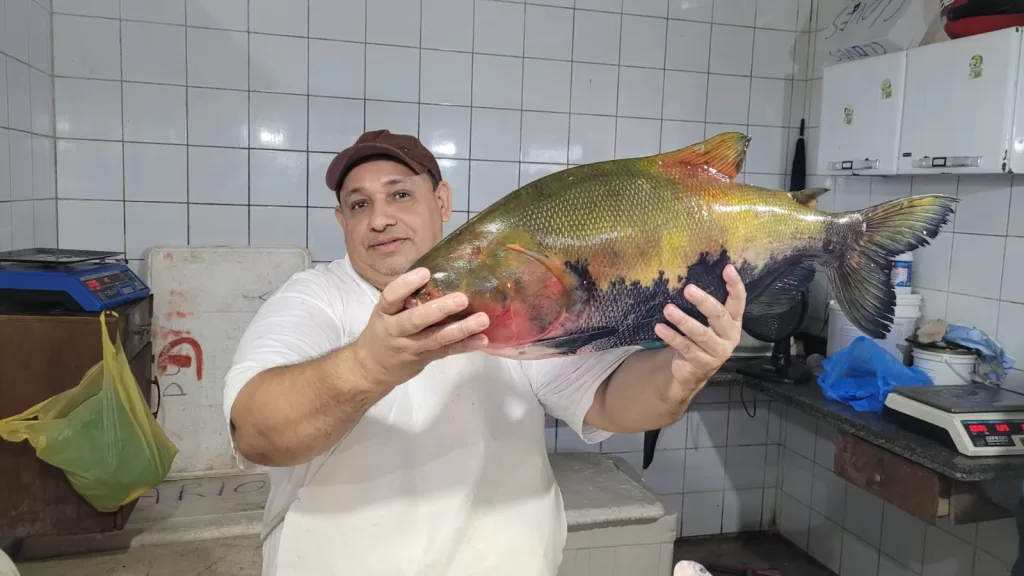 Mercado de Cruzeiro do Sul prepara venda de 25 toneladas de peixes na Semana Santa