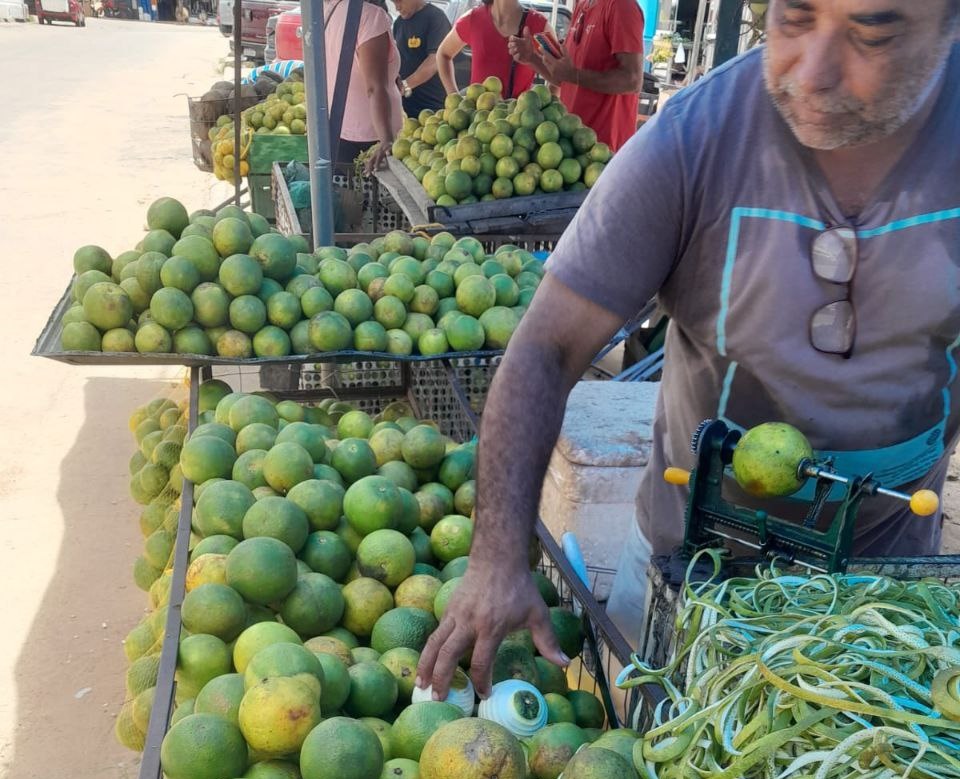 Vendedores estão otimistas com inicio da safra de laranja em Cruzeiro do Sul