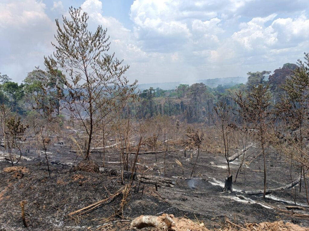 Governo federal declara estado de emergência ambiental no Acre por risco de queimadas