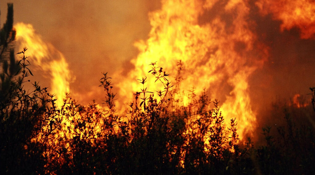 Sem registro de queimadas em abril, Acre acumula 22 focos de calor em 2024