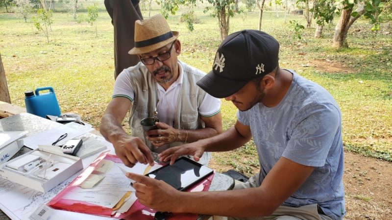 Governo prorroga prazo de inscrição para processo seletivo simplificado de estagiários