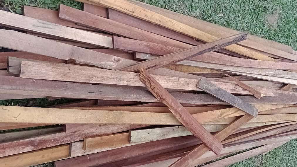 Liderança indígena denuncia envio de madeira ‘podre’ para reforma de escola em aldeia