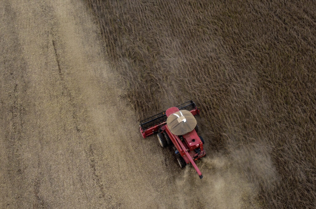 Exportações históricas, geração de empregos em alta e produção agrícola recorde: a boa fase da economia acreana