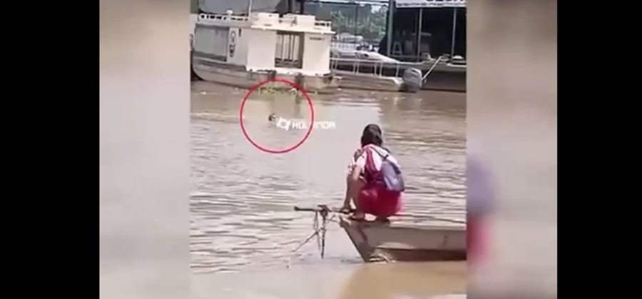 Jovem morre afogado após pedir socorro enquanto pessoas gravavam vídeo