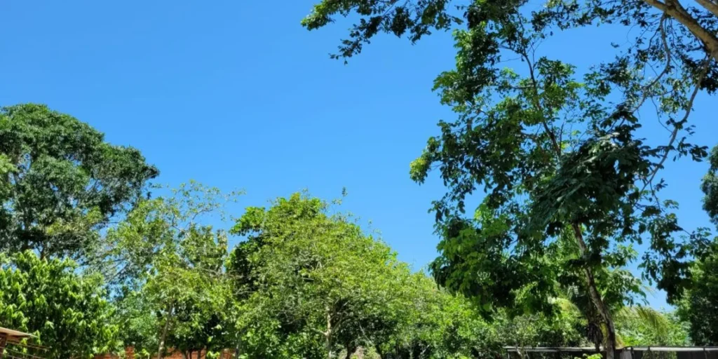 Previsão para este domingo é de dia quente e baixa umidade do ar no Acre