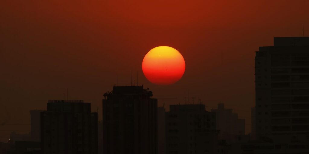 mudancas-climaticas-agravam-inseguranca-alimentar,-diz-pesquisadora
