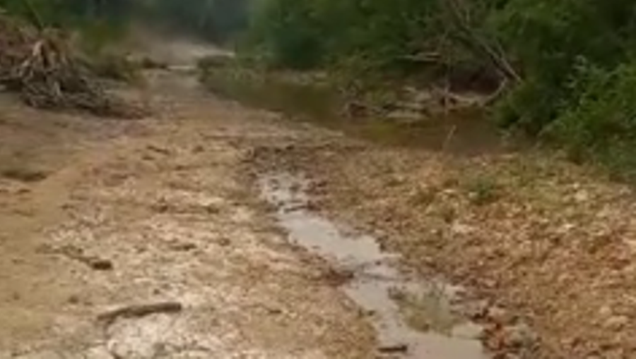 VÍDEO: morador mostra trecho de rio castigado pela seca no Acre: “Não passa mais barco”
