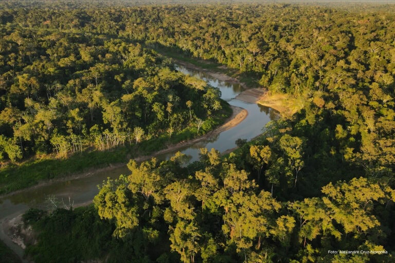 Dia da Amazônia: Acre reafirma compromisso com a conservação do bioma fundamental para o equilíbrio climático e ambiental do planeta
