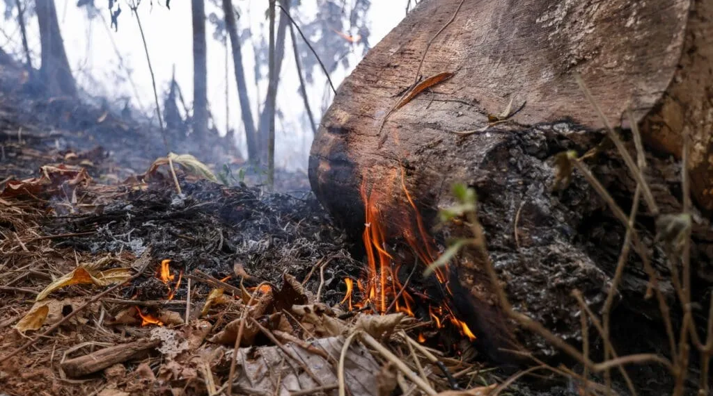 TJAC alcança 200% no Índice de Atendimento à Demanda de crimes ambientais