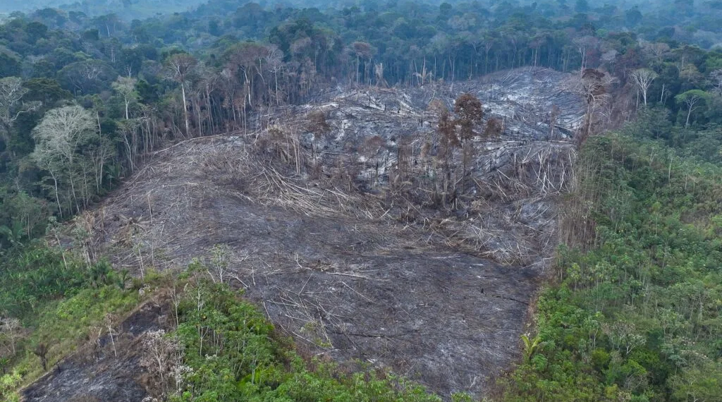 Seis unidades de conservação do Acre estão entre as 10 mais destruídas da Amazônia Legal