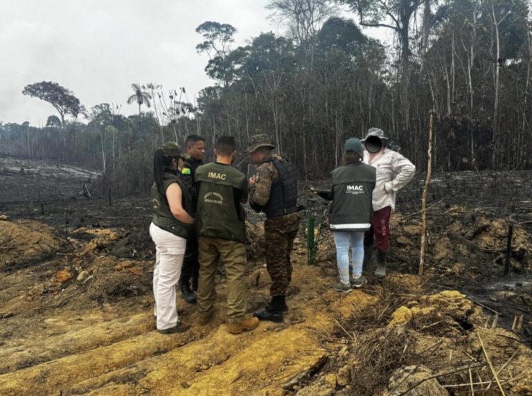 Imac diz ter aplicado R$ 1,3 milhão em multas por queimadas no Juruá