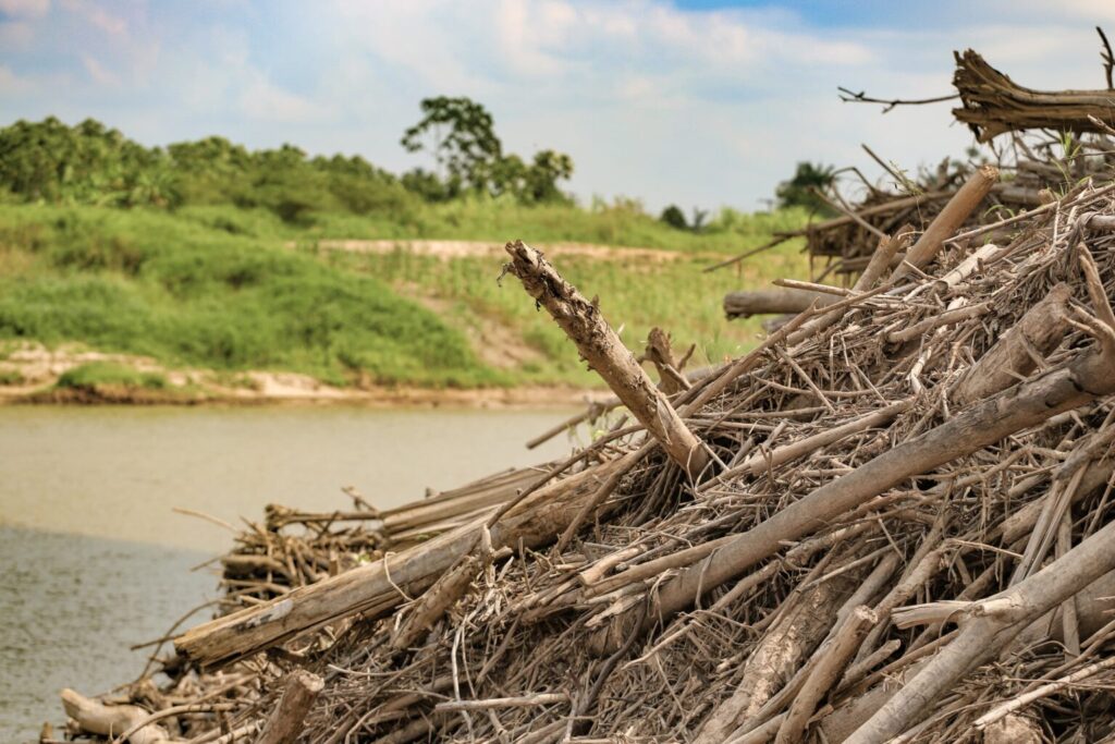 Mais de 70% das terras indígenas do Acre sofrem com seca severa