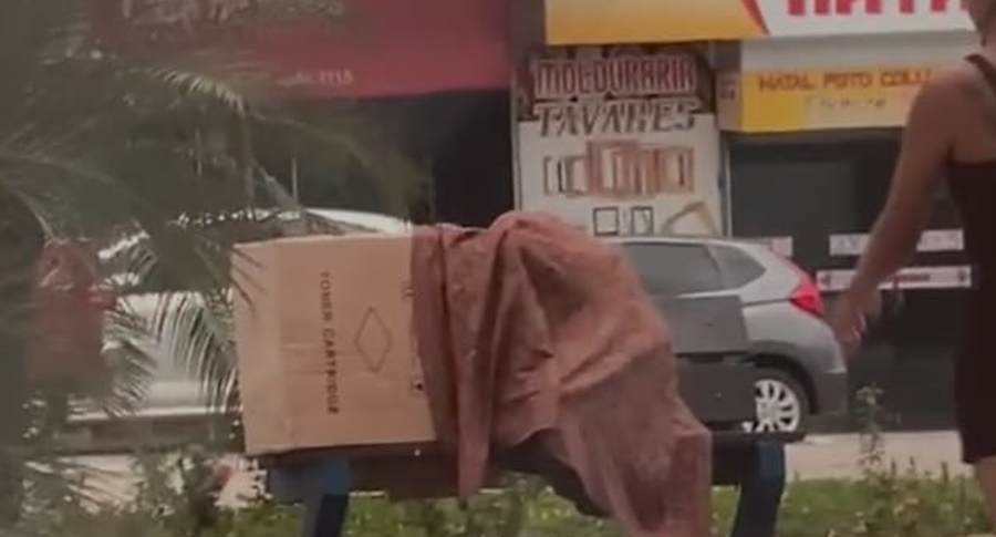 VÍDEO: Casal é flagrado em suposta cena de sexo em praça pública no centro de Rio Branco