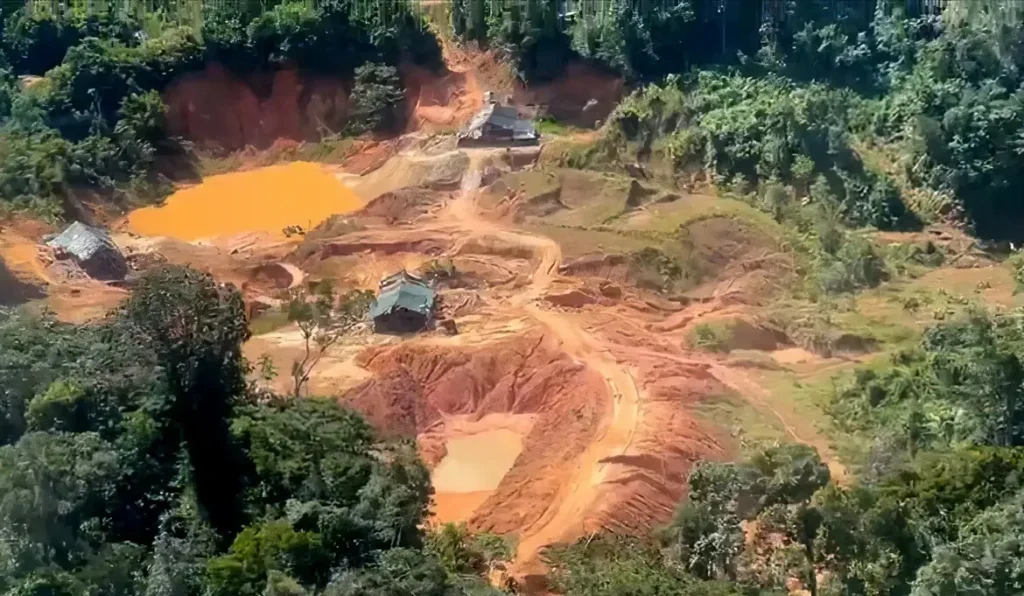 Crimes ambientais na Amazônia Legal aumentam 88%, aponta PRF