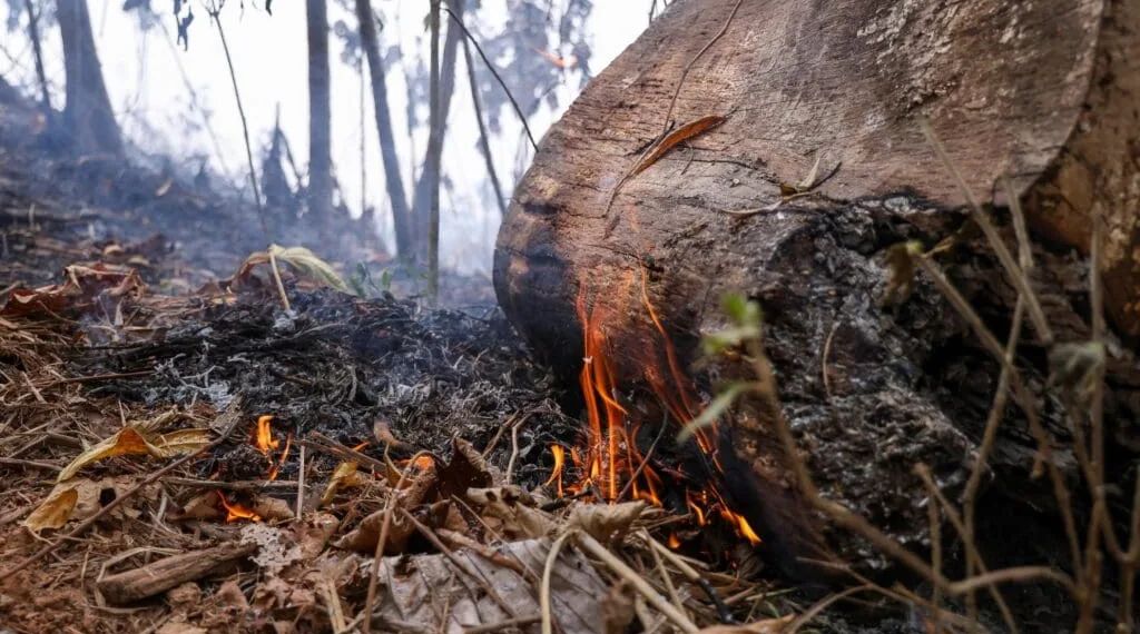 Queimadas dão trégua no Acre em novembro, mas acumulado do ano já supera 8,6 mil focos