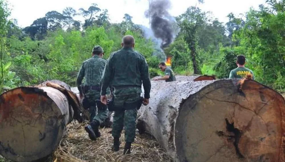 ICMBio abre processo seletivo simplificado com 9 vagas para o Acre; veja edital