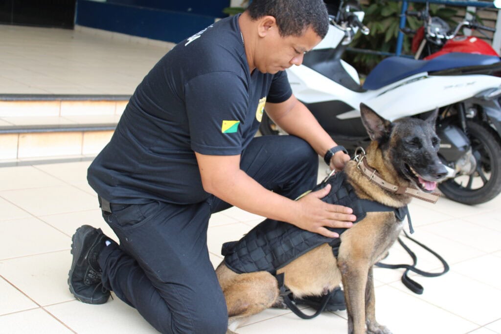 Núcleo de Operações com Cães da Polícia Civil do Acre: compromisso e eficiência no combate ao tráfico de drogas