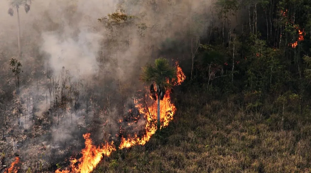 Acre investe quase R$ 6 milhões em avião para combater desmatamento e melhorar atendimento de emergência