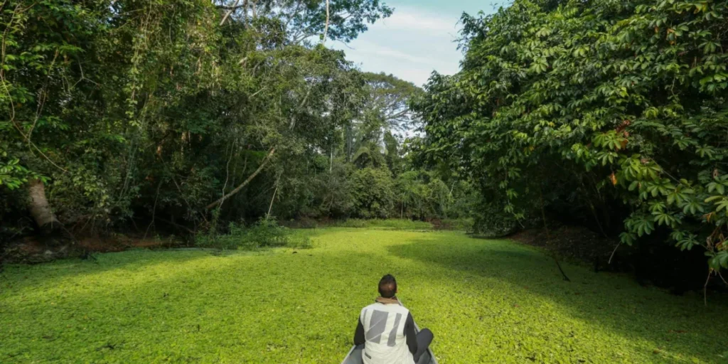 Acre propõe projetos de turismo regenerativo na comunidade Croa e Trilha Chico Mendes na COP 29