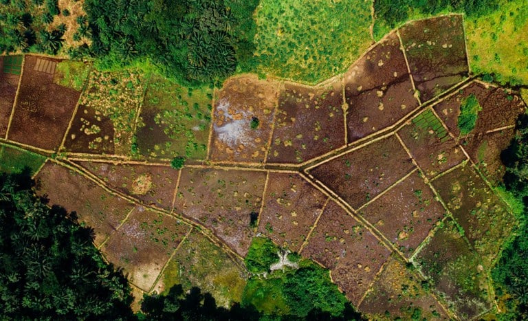 MPF apura irregularidades em certificação de imóveis rurais no Acre