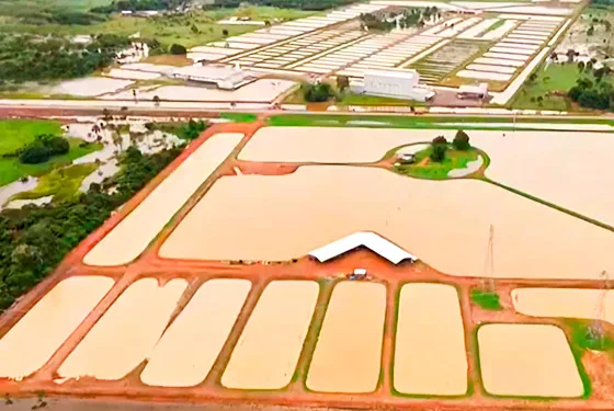 Justiça do Acre decreta falência da empresa Peixes da Amazônia S/A: “Total abandono”